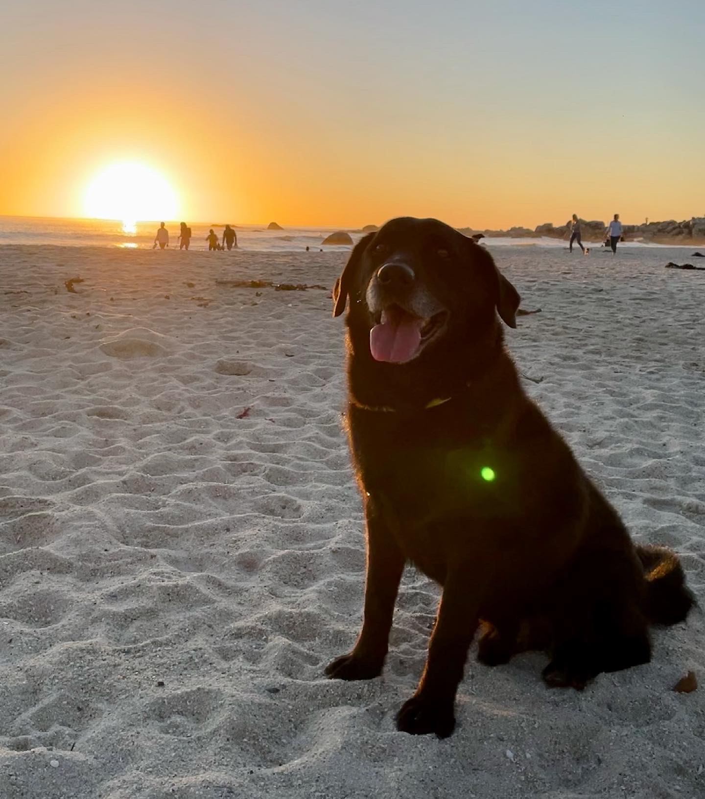 5 Years in Cape Town – Let’s catch up – Part One